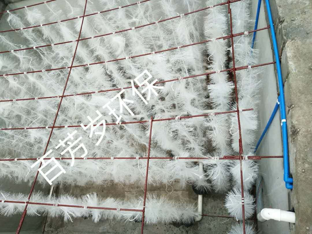 邛崃市鑫和产业园50方每天洗毛肚污水